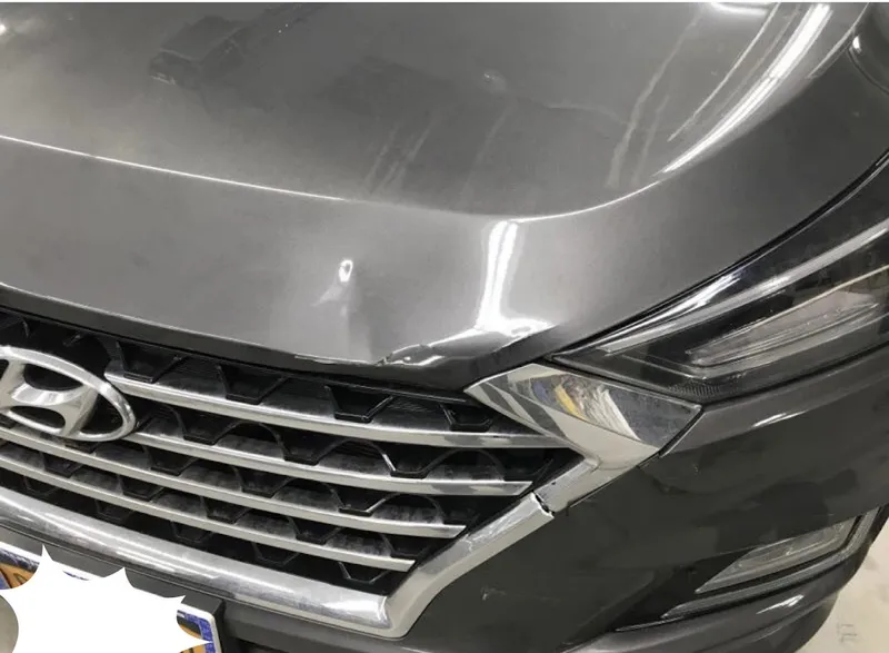 auto body shops Mola Auto Collision Inc