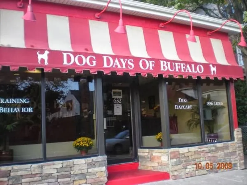 Dog Days of Buffalo