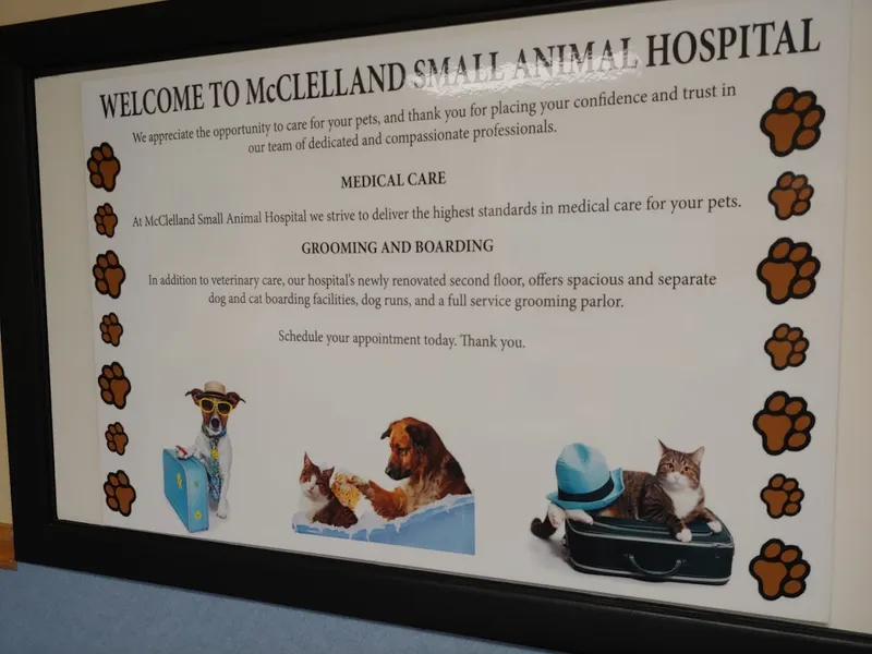 Mcclelland Small Animal Hospital: Reynders Marylisa DVM