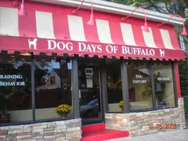 Top 13 dog training classes in Buffalo