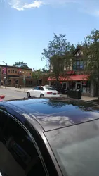 chicken marsala in Elmwood Village Buffalo