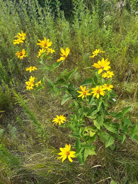 Kid-friendly bike trails Times Beach Nature Preserve