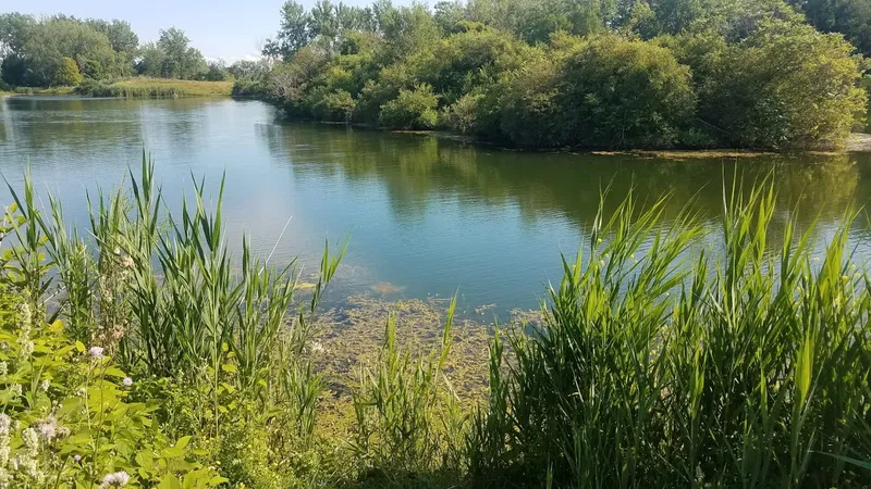 Tifft Nature Preserve