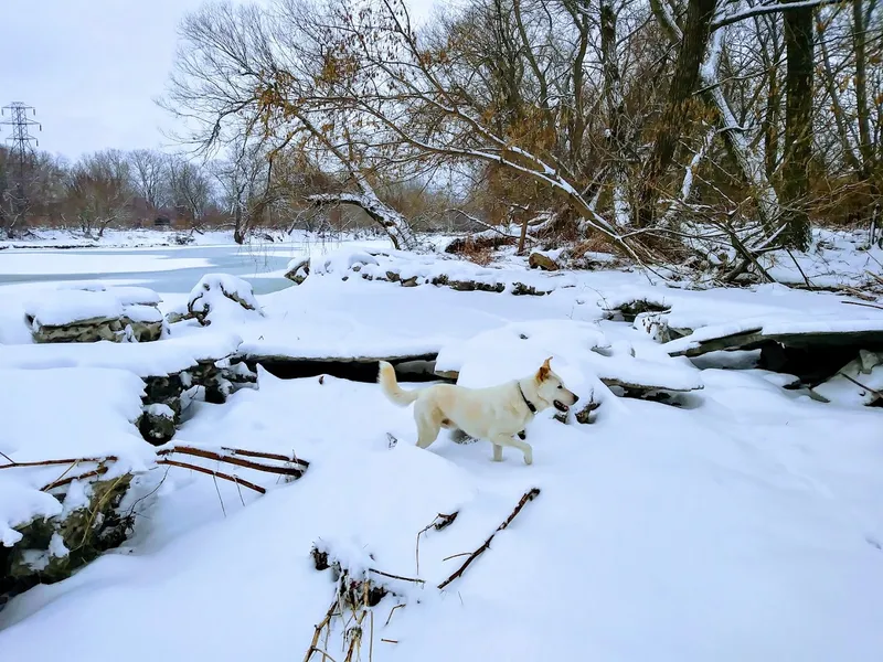 Seneca Bluffs Natural Habitat Park