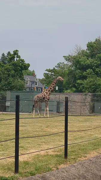 Delaware Park