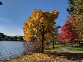 Top 37 parks in Buffalo
