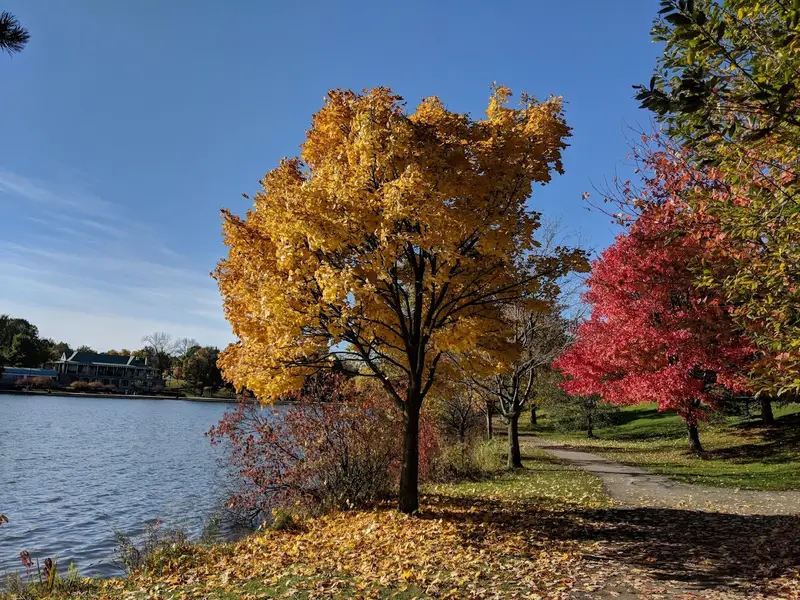 Delaware Park