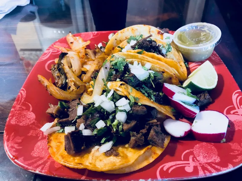 chicken fajitas Taqueria San Antonio