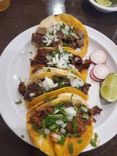 burritos Taqueria San Antonio