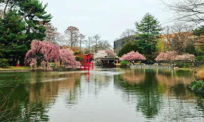 Top 19 botanical gardens in New Rochelle