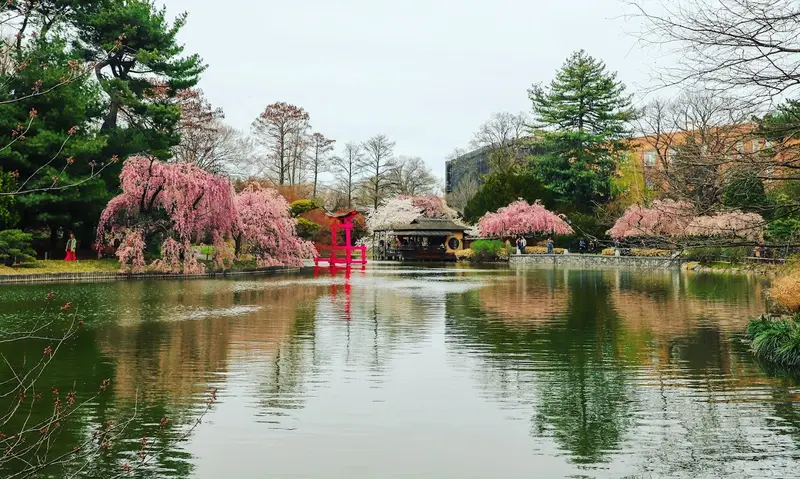 Brooklyn Botanic Garden