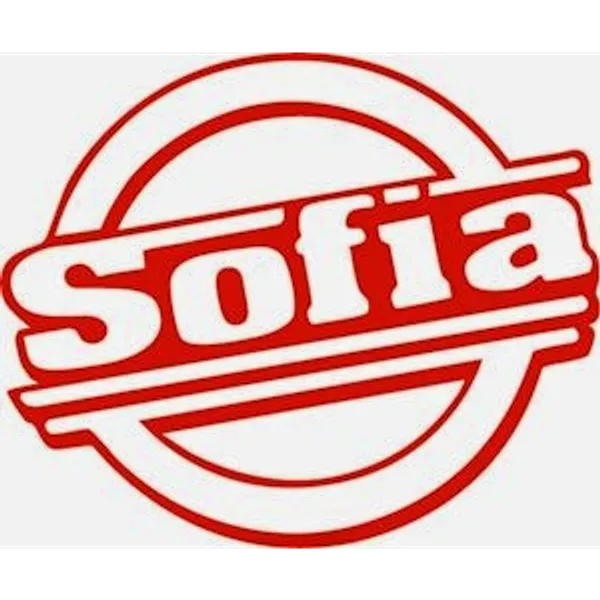 Sofia's Collision & Mechanical