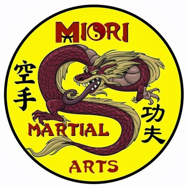 Miori Martial Arts - Syracuse