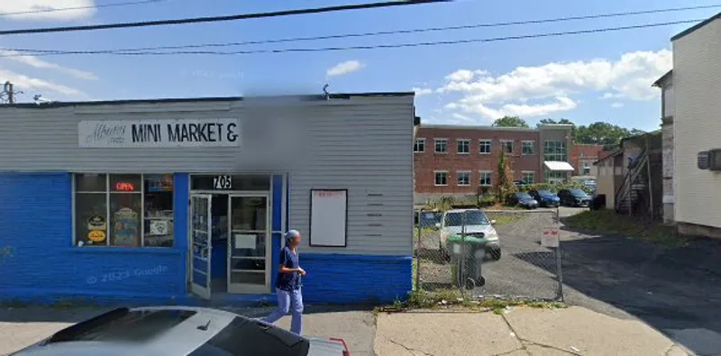 grocery stores Albany Street Mini Mart