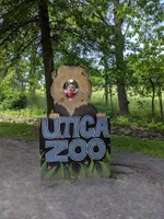 Best of 26 photo spots in Utica