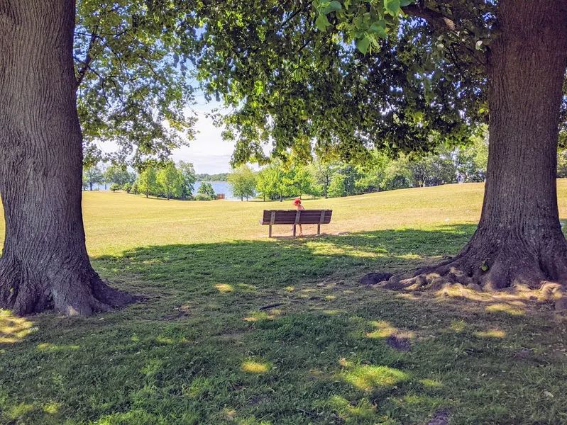 Campgrounds Davenport Park