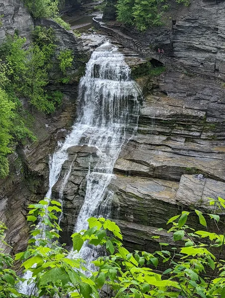 Free Museums Robert H. Treman State Park