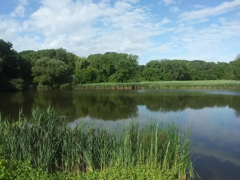 picnic spots Tivoli Lake Preserve