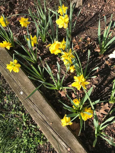 The Nurtury Montessori School at Flandreau