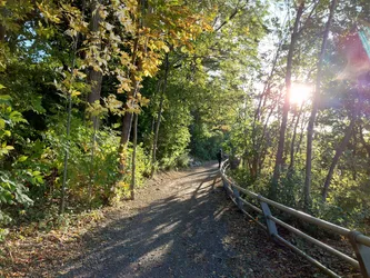 Top 12 kid-friendly hiking trails in Niagara Falls