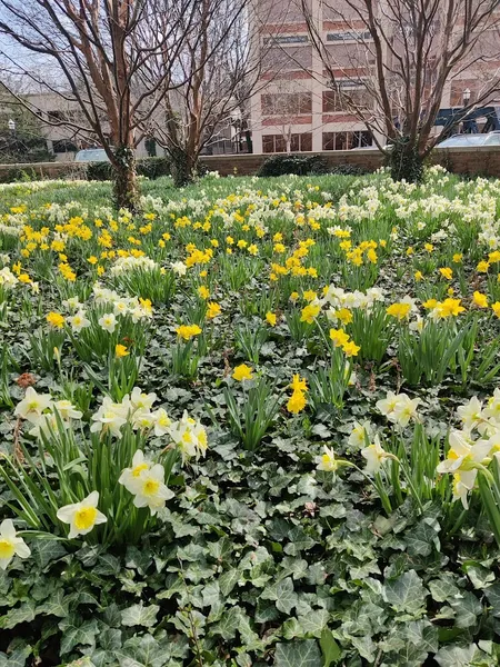 Franklin Square Park