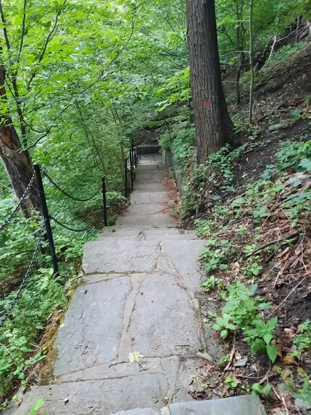 Kid-Friendly day trips Horseshoe Falls