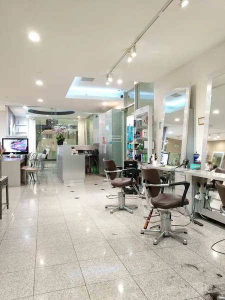 hair salons Hair do in Koreatown