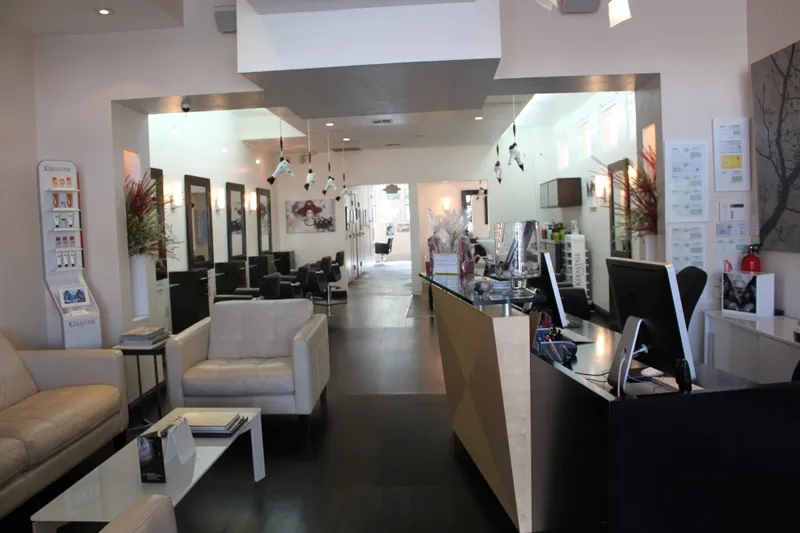 hair salons 77 Salon Inc