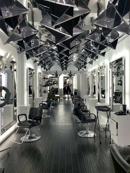 Intrinsic Salon