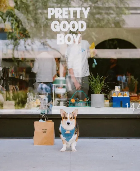 pet stores Pretty Good Boy