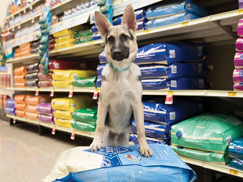 Best of 24 pet stores in Los Angeles