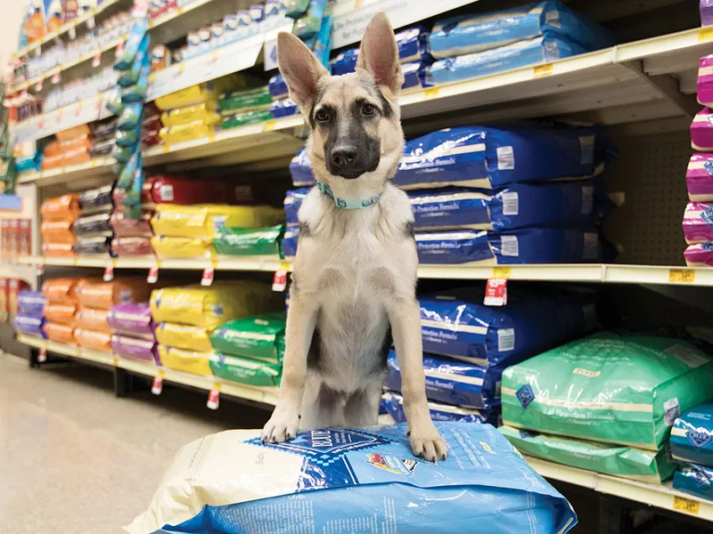 pet stores PetSmart