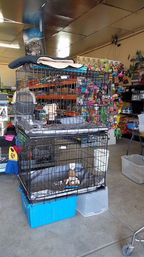 Best of 18 pet stores in San Diego