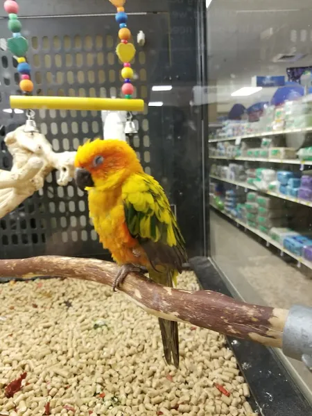 PetSmart