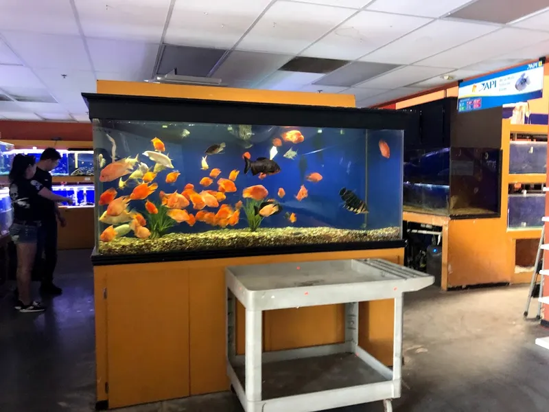 pet stores King Aquarium