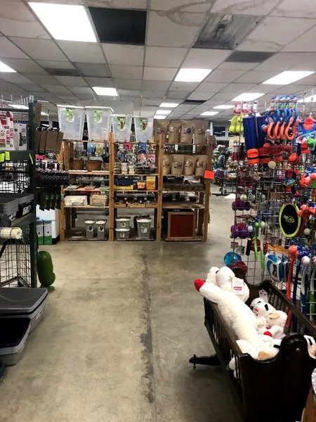 Andy's Pet Shop