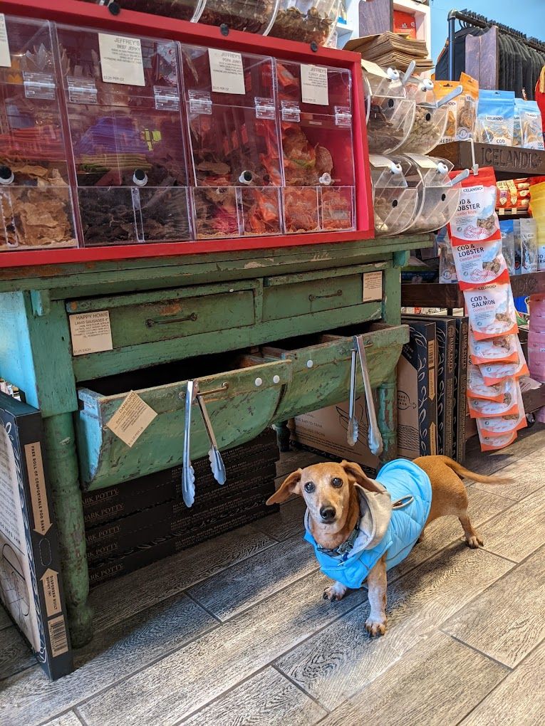 Best of 33 pet stores in San Francisco