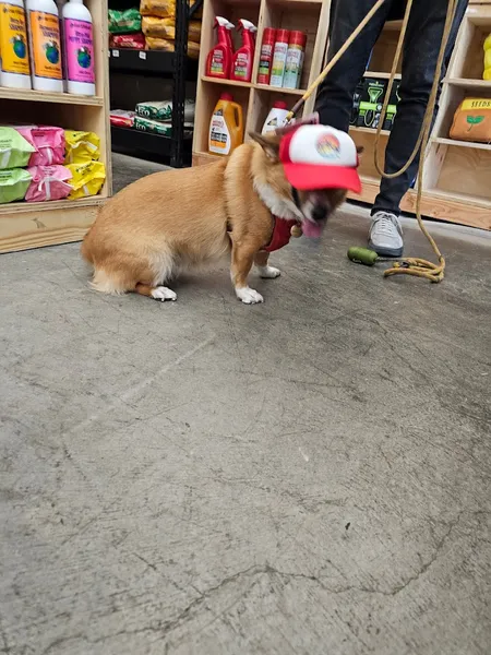 pet stores Expert Pet