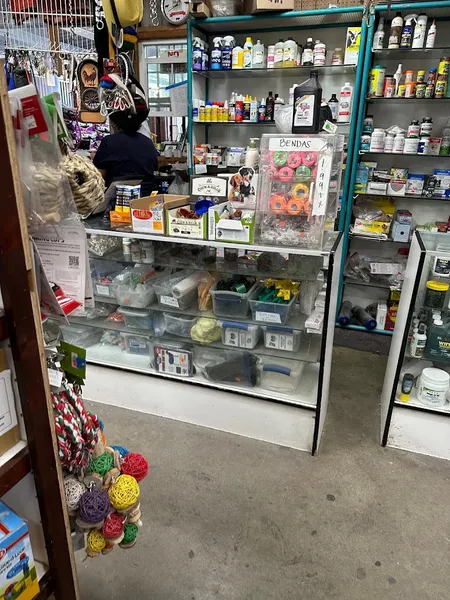 pet stores Elm Avenue Feed