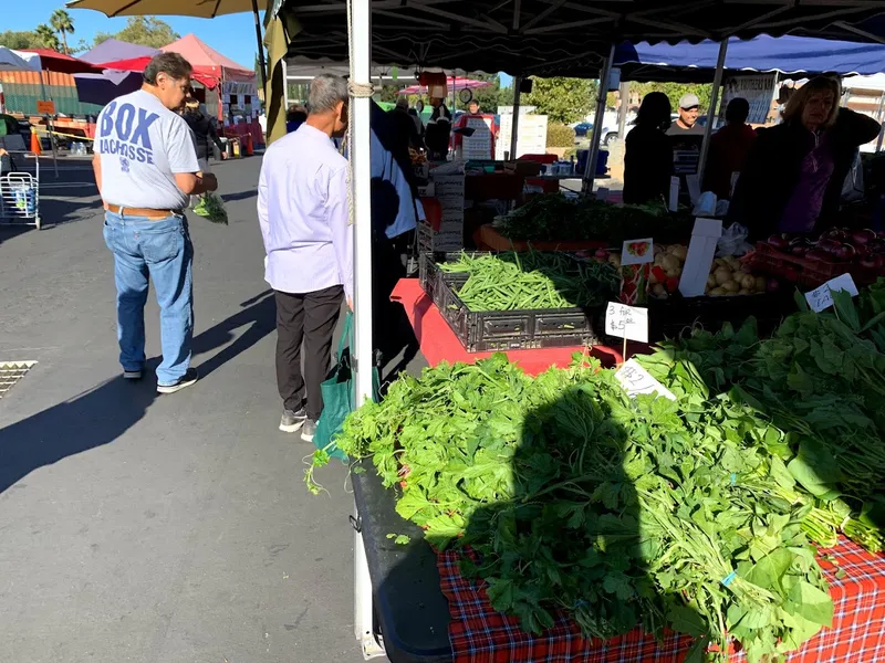 farmers’ markets Santa Teresa Farmers' Market