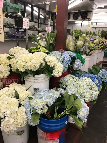 florist Oakland Flower Market