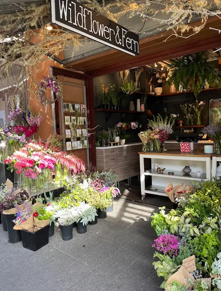 florist Wildflower and Fern