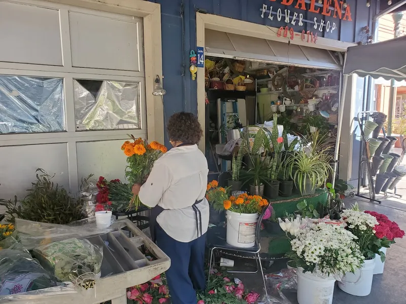 florist Magdalena Flower Shop