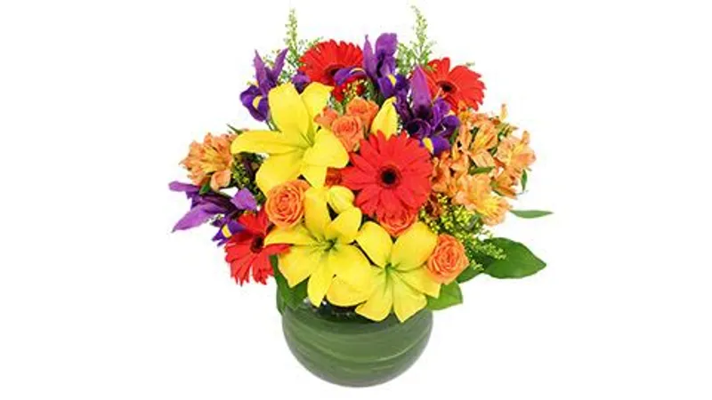 florist Flower Outlet & Gifts