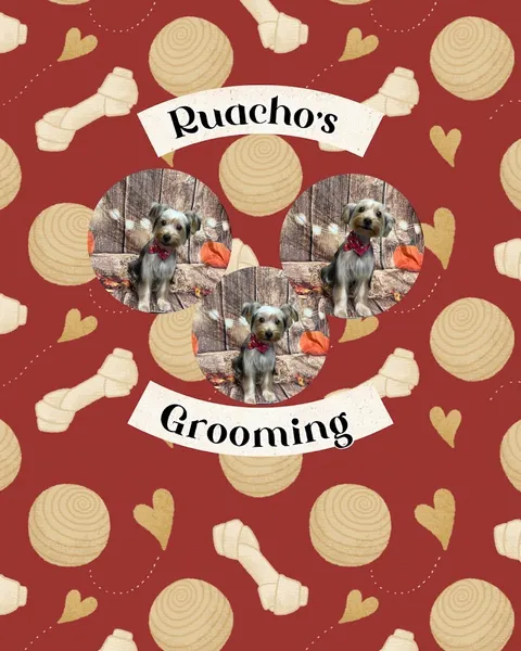 Ruachos Grooming & Pet Shop