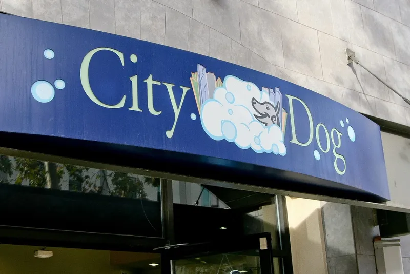 dog groomers City Dog