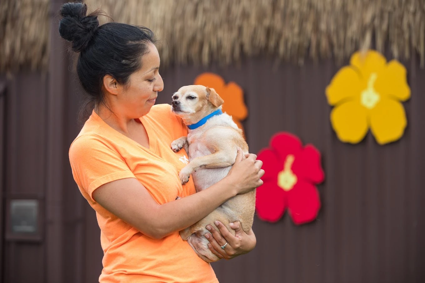 Best of 32 dog groomers in San Francisco