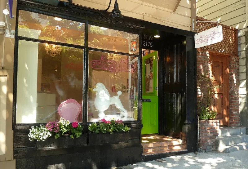 Russian Hill Dog Grooming Express