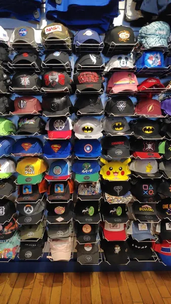 hat stores Lids