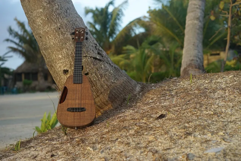 musical Blackbird Guitars